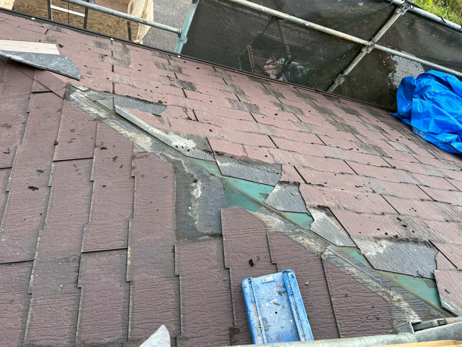 10月なのに、、、