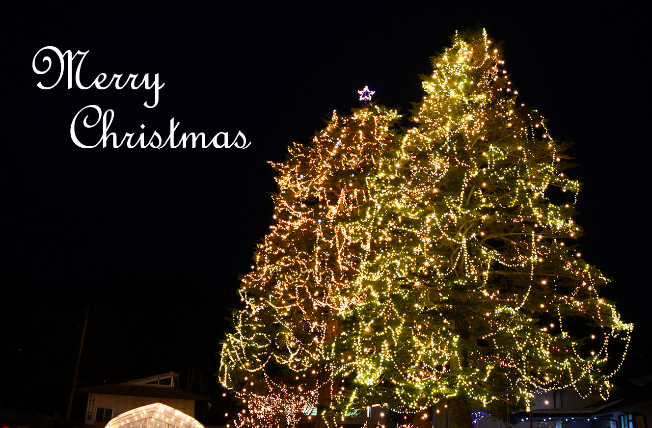 クリスマスイブですね(*^_^*)