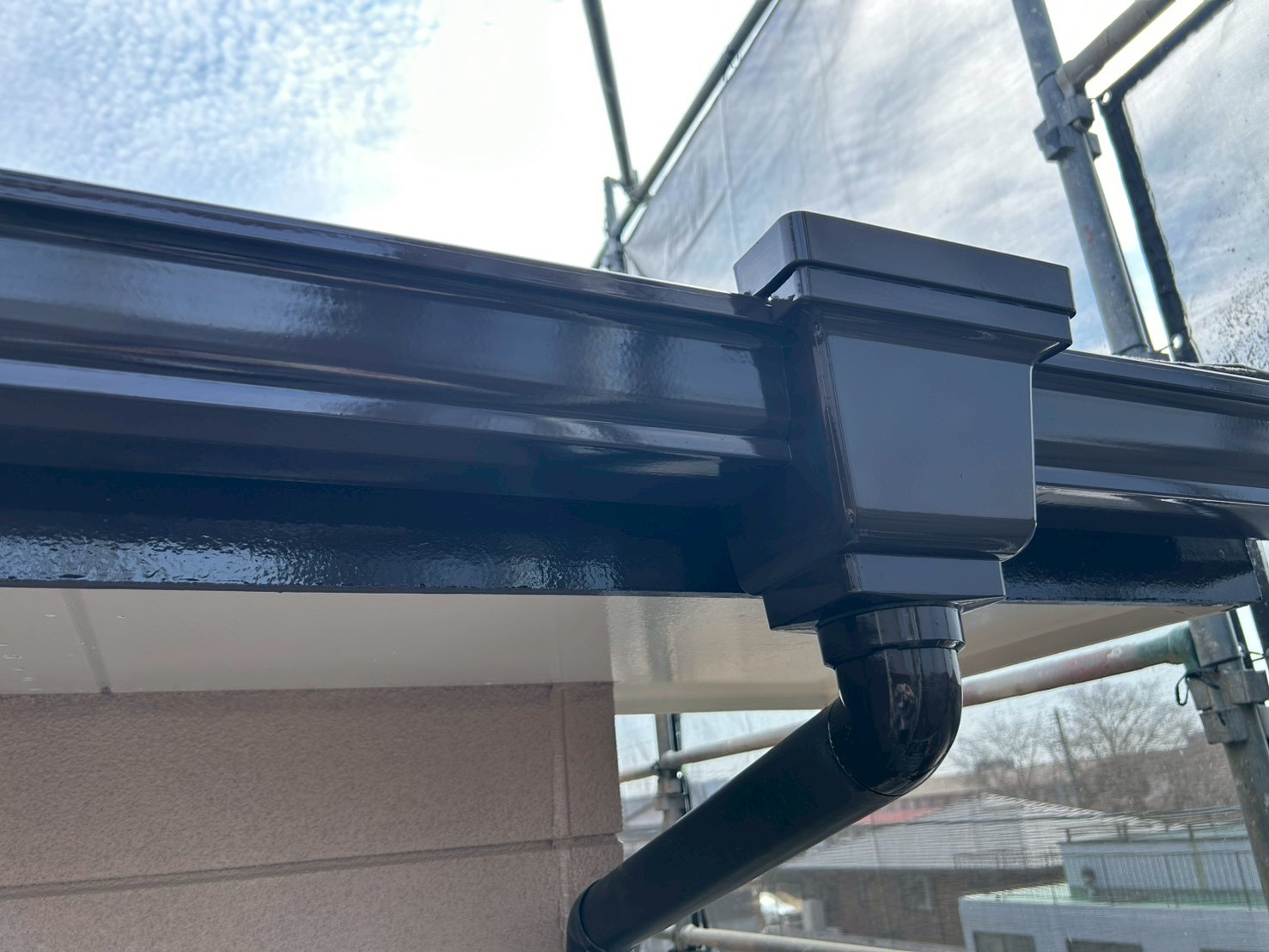 暖かくなってきました♪